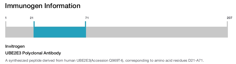 UBE2E3 Polyclonal Antibody
