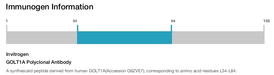 GOLT1A Polyclonal Antibody