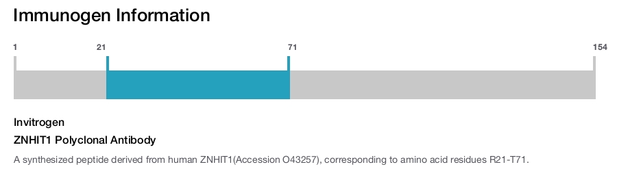 ZNHIT1 Polyclonal Antibody