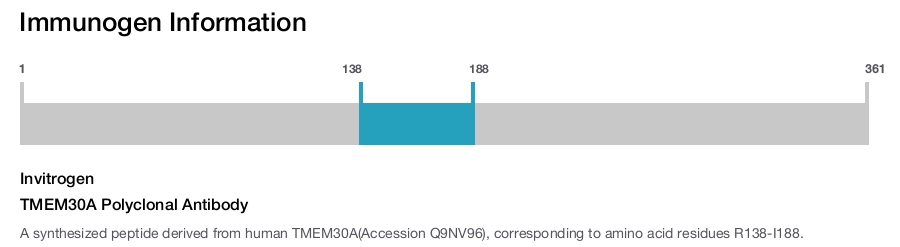 TMEM30A Polyclonal Antibody