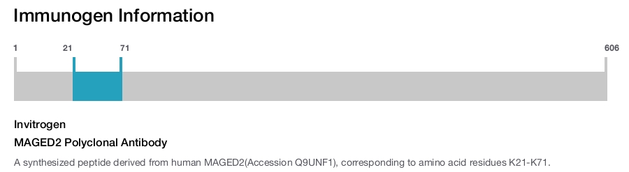 MAGED2 Polyclonal Antibody