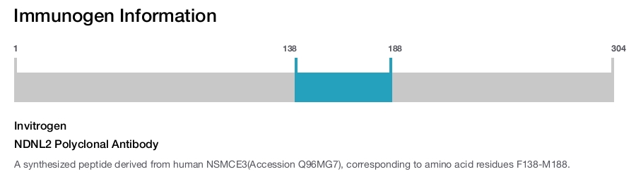 NDNL2 Polyclonal Antibody
