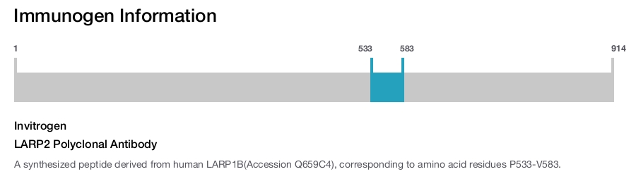 LARP2 Polyclonal Antibody