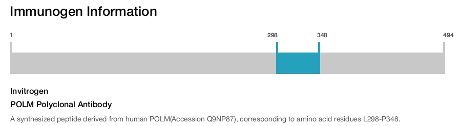 POLM Polyclonal Antibody