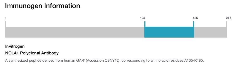 NOLA1 Polyclonal Antibody