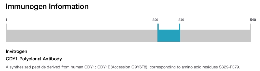 CDY1 Polyclonal Antibody