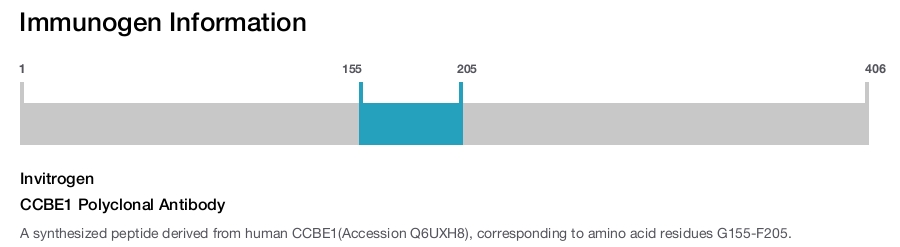 CCBE1 Polyclonal Antibody