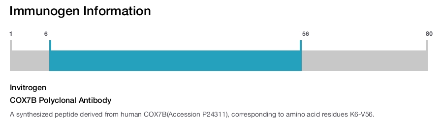 COX7B Polyclonal Antibody