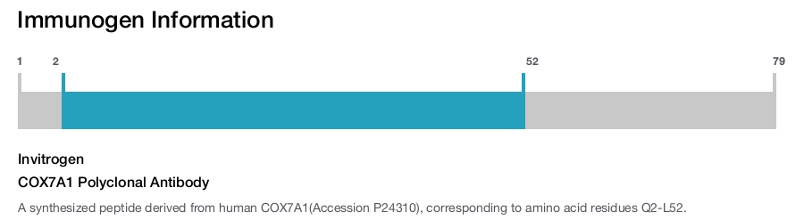 COX7A1 Polyclonal Antibody