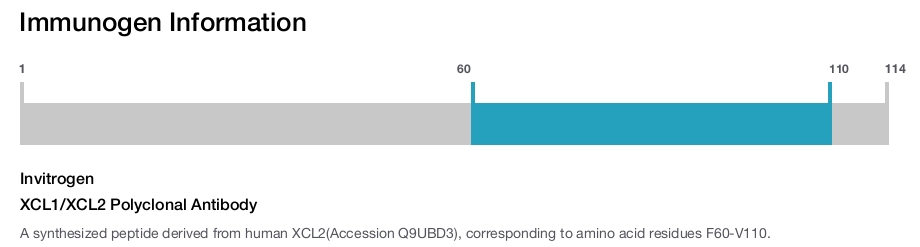 XCL1/XCL2 Polyclonal Antibody