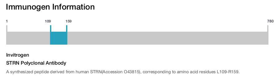 STRN Polyclonal Antibody