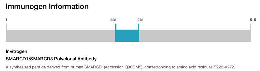 SMARCD1/SMARCD3 Polyclonal Antibody