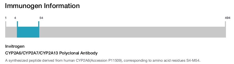 CYP2A6/CYP2A7/CYP2A13 Polyclonal Antibody