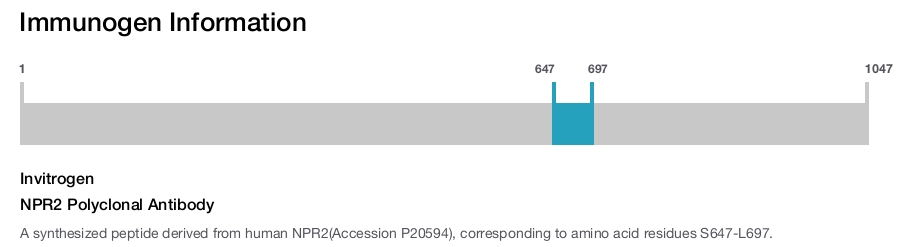 NPR2 Polyclonal Antibody