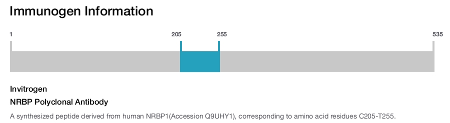NRBP Polyclonal Antibody