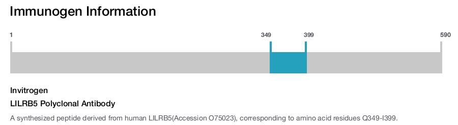 LILRB5 Polyclonal Antibody