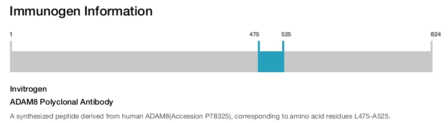ADAM8 Polyclonal Antibody
