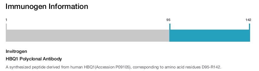 HBQ1 Polyclonal Antibody