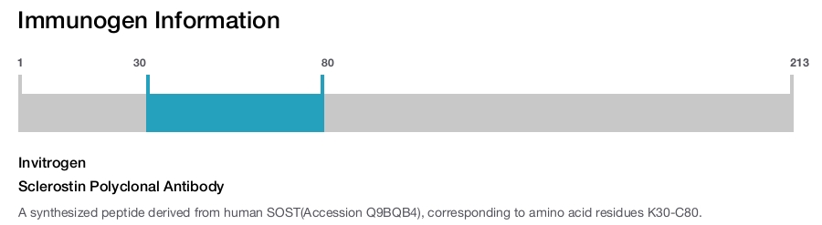 Sclerostin Polyclonal Antibody
