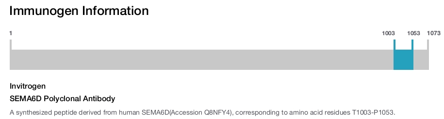 SEMA6D Polyclonal Antibody