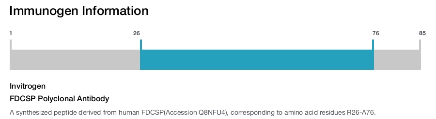 FDCSP Polyclonal Antibody