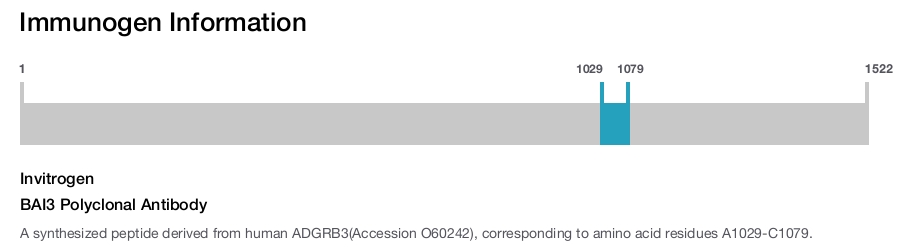 BAI3 Polyclonal Antibody