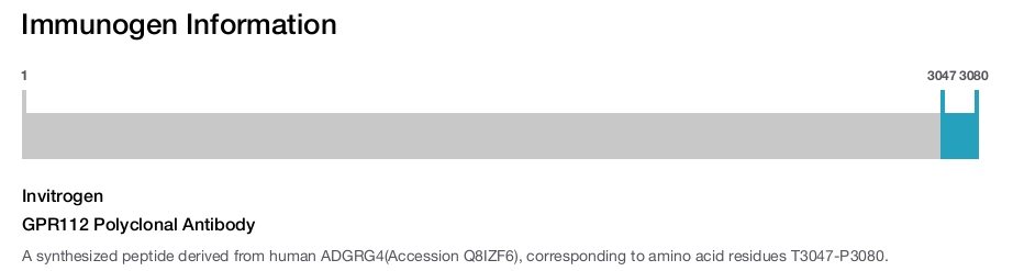 GPR112 Polyclonal Antibody
