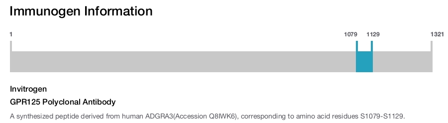 GPR125 Polyclonal Antibody