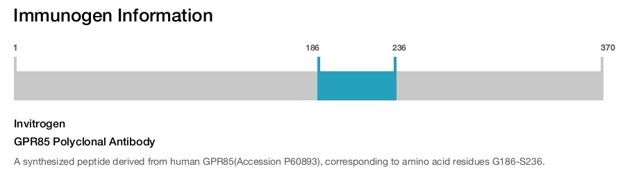 GPR85 Polyclonal Antibody