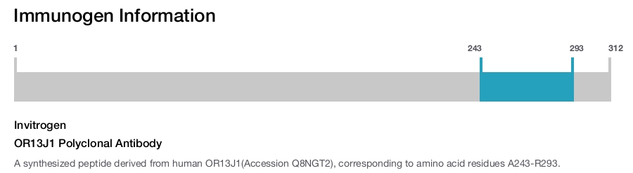 OR13J1 Polyclonal Antibody