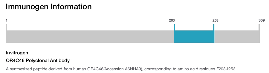 OR4C46 Polyclonal Antibody