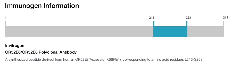 OR52E6/OR52E8 Polyclonal Antibody