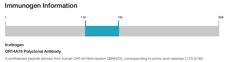 OR14A16 Polyclonal Antibody