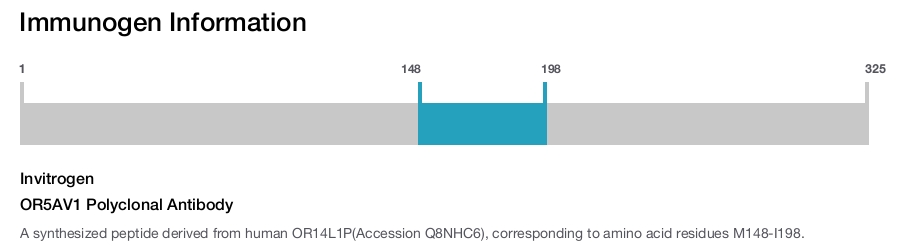 OR5AV1 Polyclonal Antibody