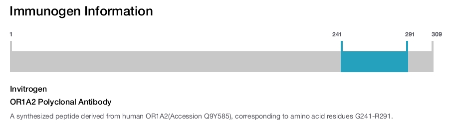OR1A2 Polyclonal Antibody