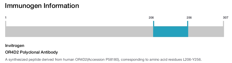 OR4D2 Polyclonal Antibody