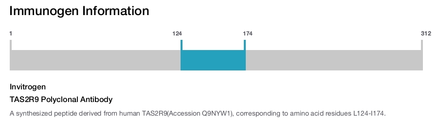 TAS2R9 Polyclonal Antibody