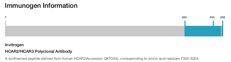 HCAR2/HCAR3 Polyclonal Antibody