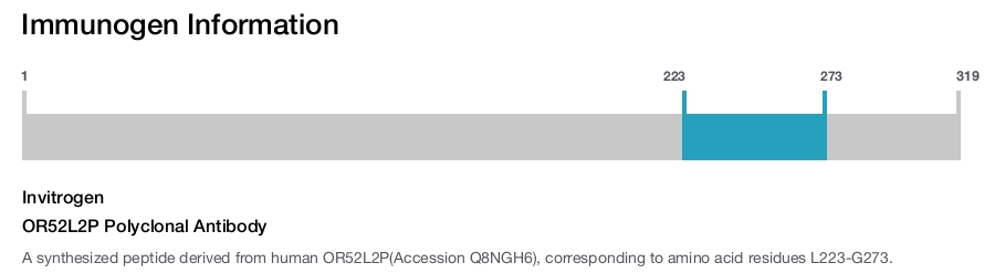OR52L2P Polyclonal Antibody