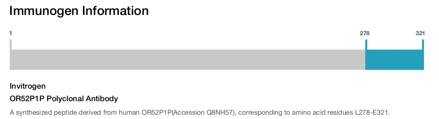 OR52P1P Polyclonal Antibody