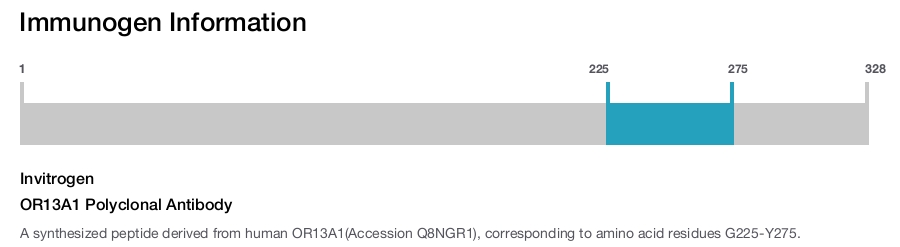 OR13A1 Polyclonal Antibody