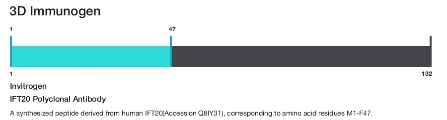 IFT20 Polyclonal Antibody