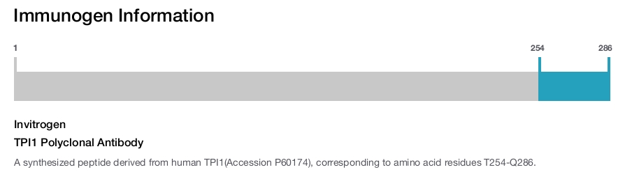TPI1 Polyclonal Antibody
