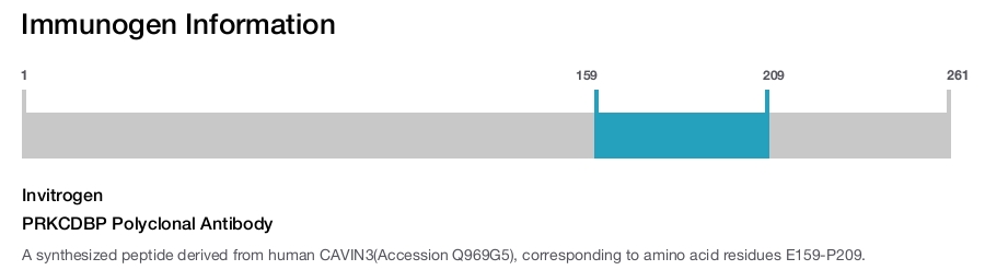 PRKCDBP Polyclonal Antibody