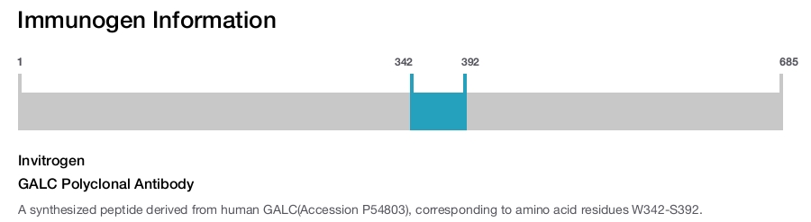 GALC Polyclonal Antibody
