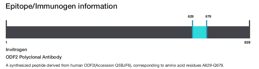 ODF2 Polyclonal Antibody