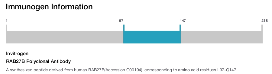 RAB27B Polyclonal Antibody