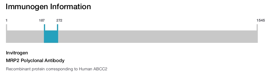 MRP2 Polyclonal Antibody