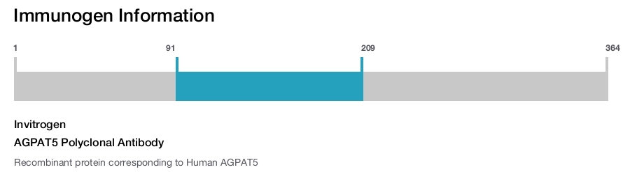 AGPAT5 Polyclonal Antibody