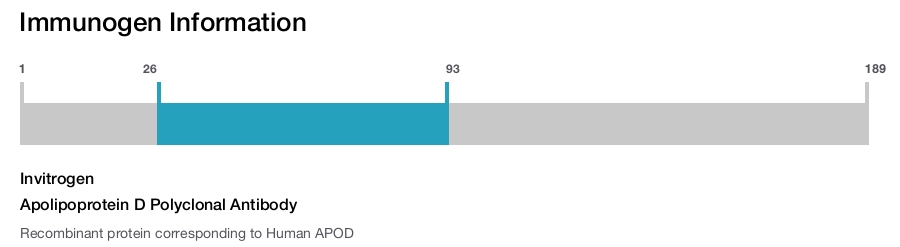 Apolipoprotein D Polyclonal Antibody